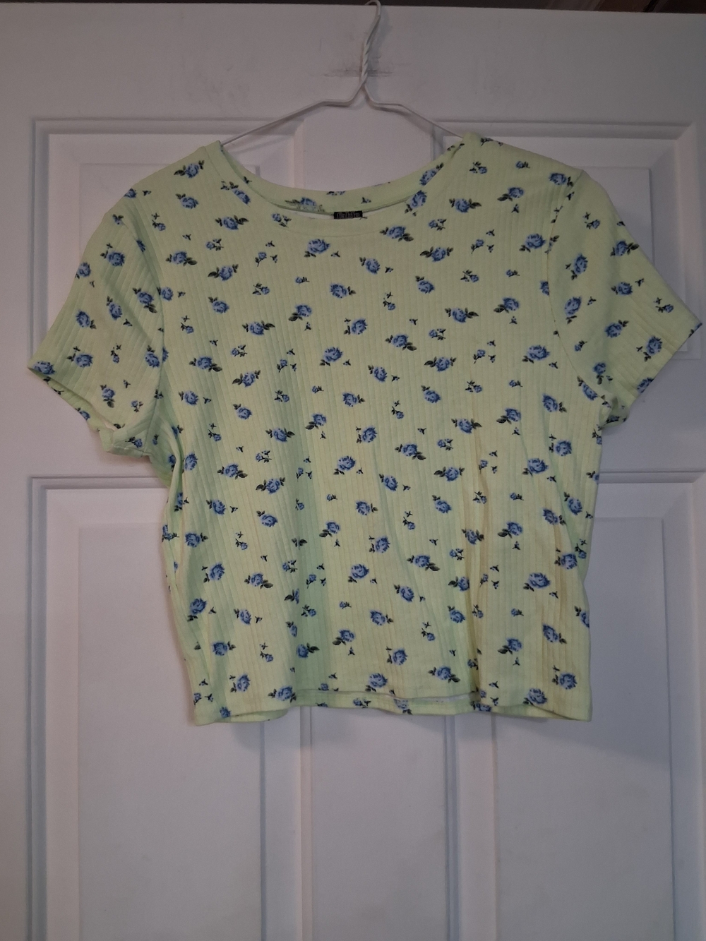 Wild Fable Light Green Ribbed Floral  Top with Blue Flowers XL